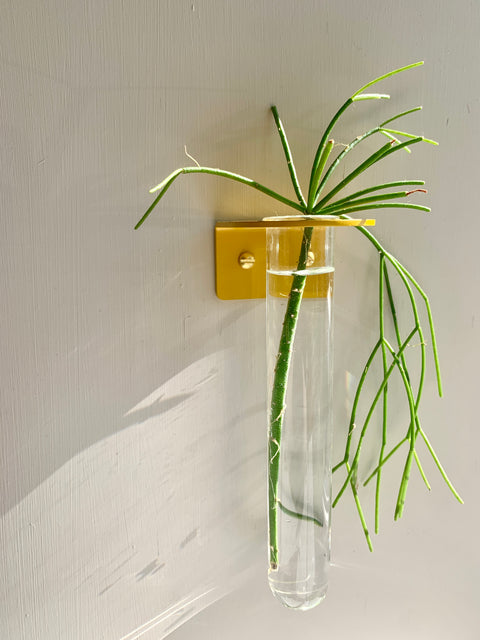 Single Wall mounted Propagation Station - Mustard