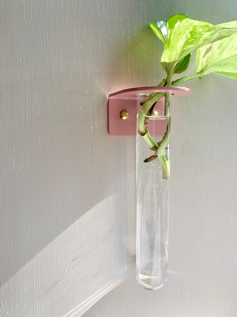 Single Wall mounted Propagation Station - Blush