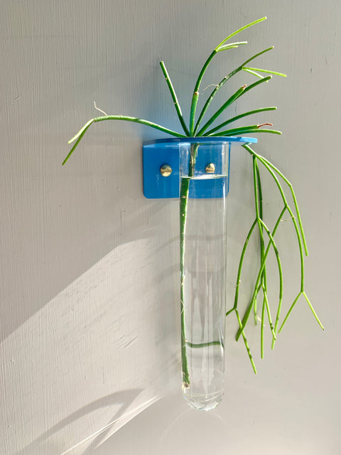 Single Wall mounted Propagation Station - Sky