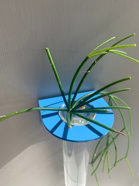 Single Wall mounted Propagation Station - Sky