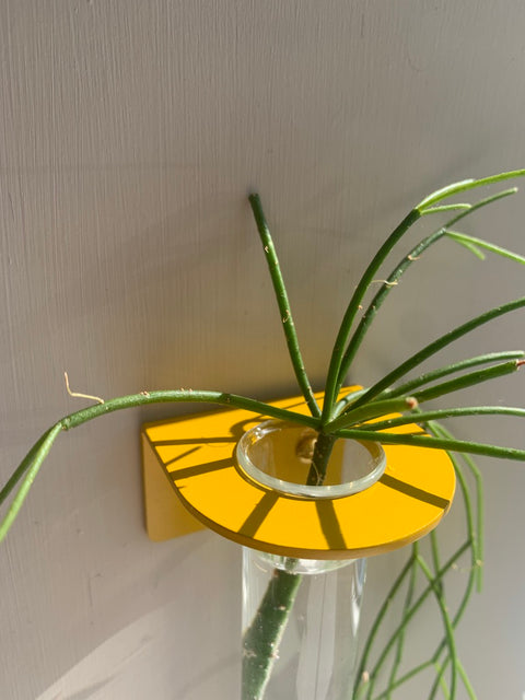 Single Wall mounted Propagation Station - Mustard