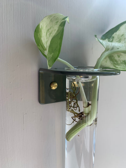 Single Wall mounted Propagation Station - Olive