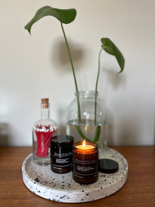 Unveiling a Scent-Sational Journey: House of Two Trees' Candle Subscription