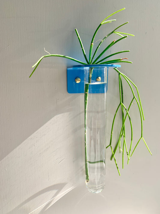 Single Wall mounted Propagation Station - Sky